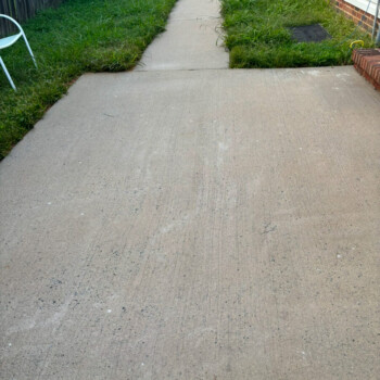 Concrete walkway bordered by overgrown grass, leading to a driveway near a house and trash bins.
