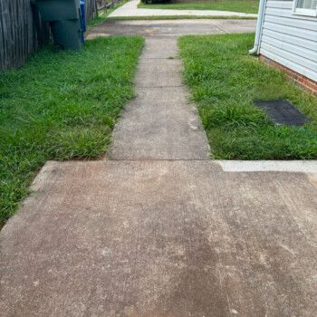 A concrete sidewalk with overgrown grass on both sides leads to a driveway in front of a house.